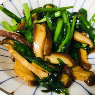 シンプルだが旨い！椎茸とニラの豆板醤炒め♫